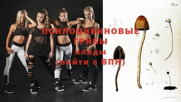 сатива Абинск