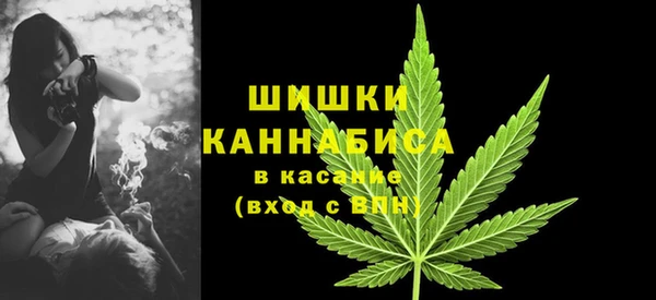 сатива Абинск