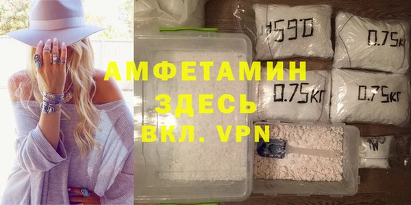 сатива Абинск